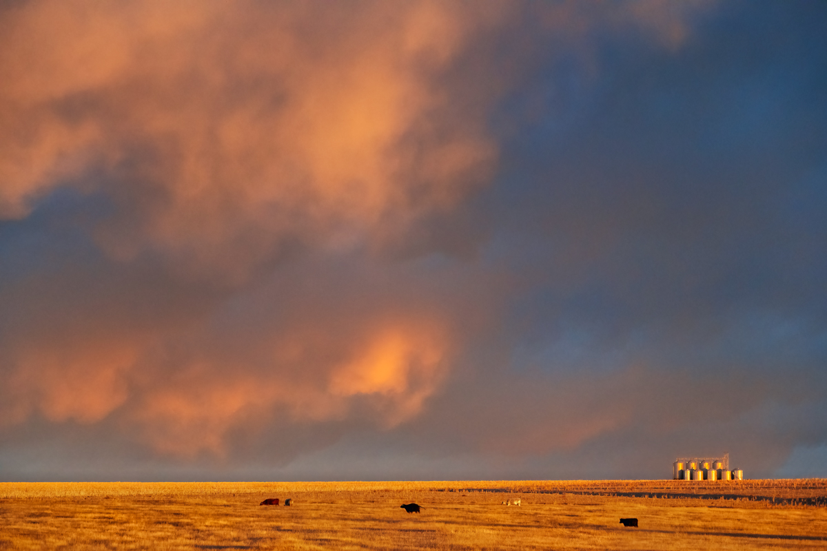 An Orange sunset from a farm view